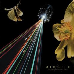 Miracle - The Strife of Love in a Dream [24 bit 96 khz]