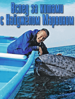       (1 , 1-4   4) / Whale Adventure with Nigel Marven DUB