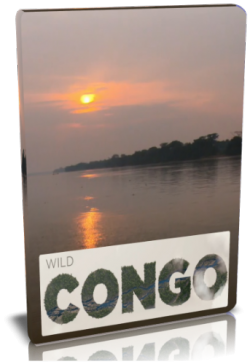    / NAT GEO WILD. Wild Congo VO