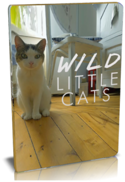    / NAT GEO WILD. Wild little cats VO