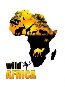    (1-3   3) / NAT GEO WILD. Africa's Wild Side VO