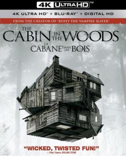    / The Cabin in the Woods DUB + 3xAVO + 3xVO