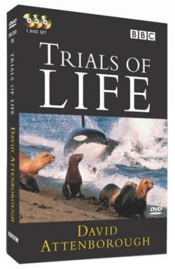    (1-12   12) / BBC. The Trials of Life VO