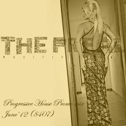 The Preal - Prog. House Promo mix 8407
